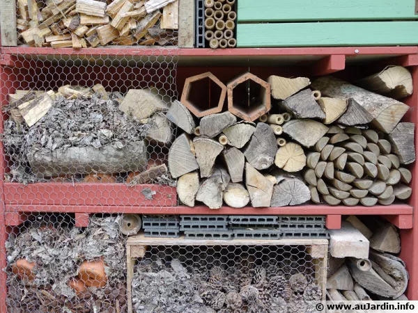 Crer des espaces diffrents pour permettre  tous les insectes d'hiverner