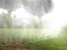 Arrosage de la pelouse