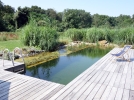 La baignade naturelle
