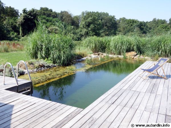 Piscine naturelle ou biologique : pour une baignade écologique