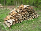 Quel bois de chauffage ?