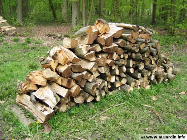 Le chauffage au bois