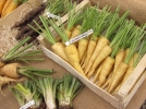 Les vrais faux lgumes anciens