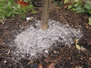 Utiliser les cendres de bois au jardin