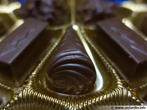 Coffret de chocolats