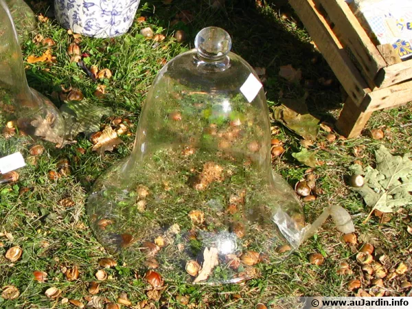 Des cloches au jardin