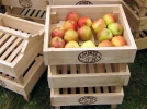 R�colte et conservation des pommes et poires
