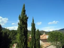 Cypr�s commun, Cypr�s de Provence, Cypr�s d'Italie, Cupressus sempervirens 
