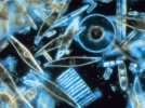La terre de diatom�e