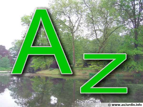 Le dictionnaire du jardinier 