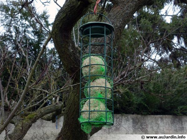 Distributeur de boules de graisse pour les oiseaux