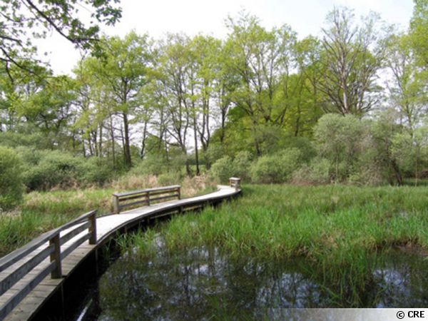 L'Etang des Landes (23)