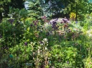 Floralpina, jardin botanique � Arras (62)