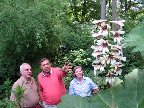 Le Jardin Jungle Karlostachys (76)