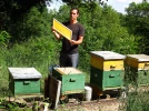 Gr�goire MARTIN, apiculteur
