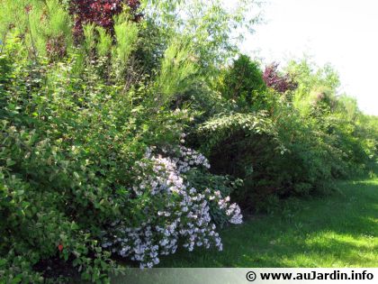 La plante au bon endroit : appliquez enfin cette r�gle pour tout r�ussir au jardin