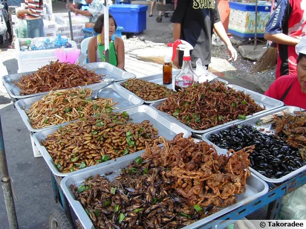 Insectes frits vendus sur un étal à Bangkok en Thaïlande