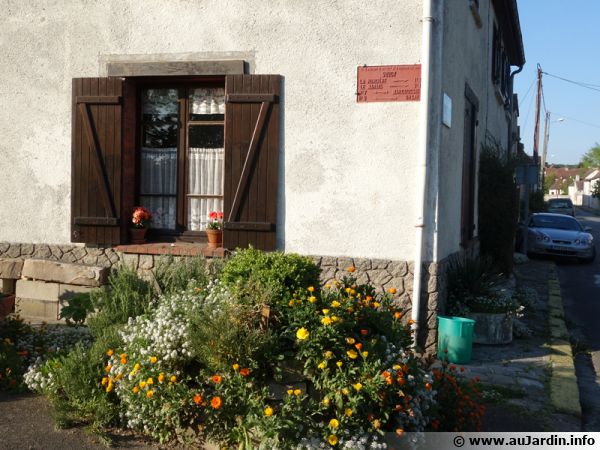 Inviter la nature en ville en végétalisant un mur de maison au niveau du trottoir... une action individuelle
