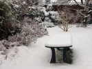Le jardin apr�s la neige