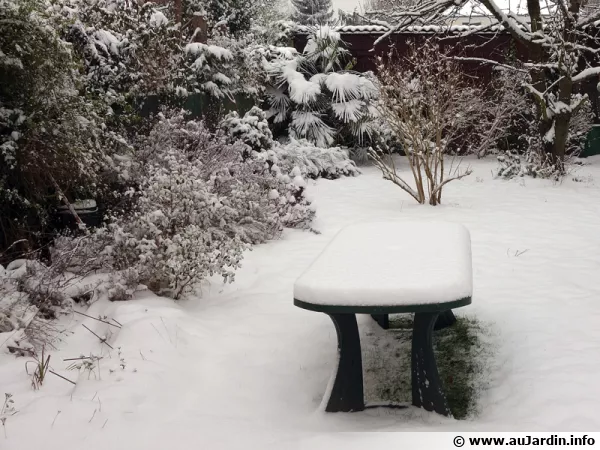 Une bonne couche de neige vient de tomber dans le jardin