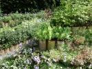 Le drainage des plantes en pot