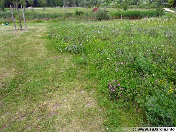 Un coin de jardin au naturel