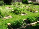 Le jardin de cur