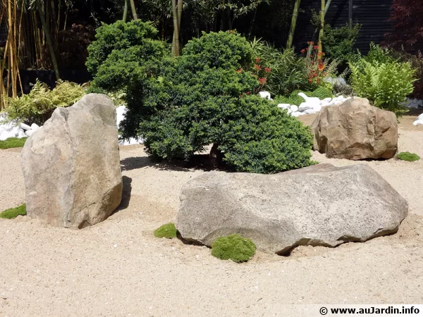 Des grosses roches pour une ambiance minrale au jardin