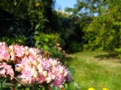 Les bases du jardinage naturel