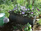 10 astuces pour russir ses jardinires