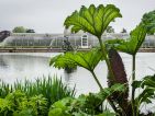 Le jardin botanique royal de Kew, les serres