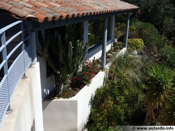 Une maison, sa rocaille de succulentes et son jardin méditerranéen, le végétal apporte à l'ensemble