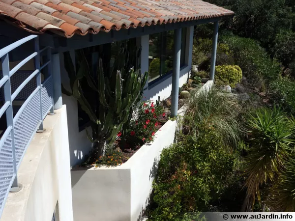 Une maison, sa rocaille de succulentes et son jardin méditerranéen, le végétal apporte à l'ensemble