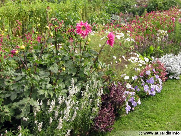 Un massif fleuri à entretenir pour prolonger ses fleurs