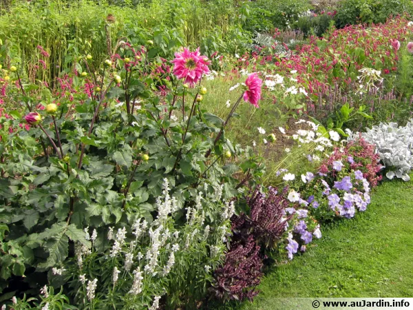 Un massif fleuri  entretenir pour prolonger ses fleurs