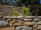 Construire un muret de pierres sches
