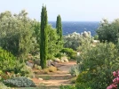 Le parc de Saleccia