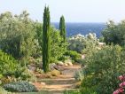 Parc de Saleccia, vue mer Parc de Saleccia, vue mer