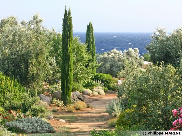 Parc de Saleccia, perspective mer