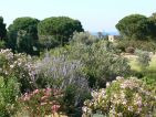Parc de Saleccia, vallée des lauriers roses Parc de Saleccia, vallée des lauriers roses