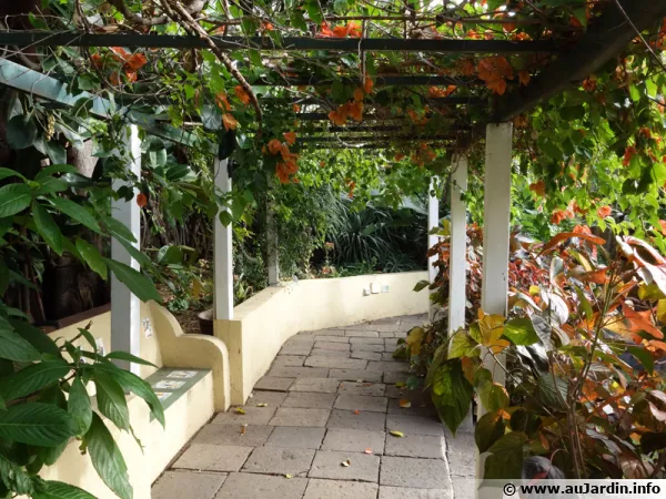 Pergola ou tonnelle, quelle différence ?