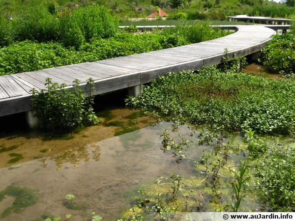 Le parc du chemin de l'île à Nanterre (92)