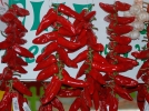 Le piment d'Espelette
