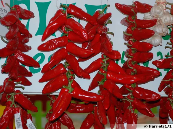 Piments d'Espelette, au marché de Biarritz