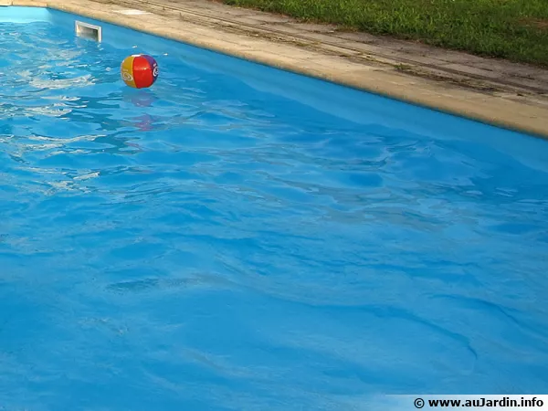 Piscine quip d'un liner