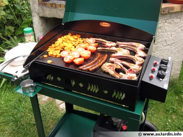 Cuisinez  la plancha au gaz