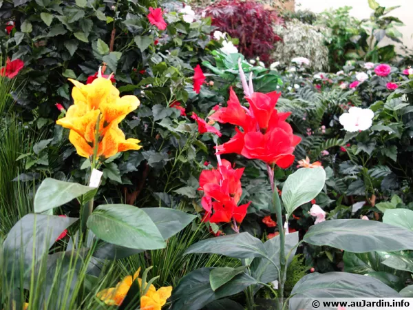 Plantes et fleurs artificielles plus vraies que nature !