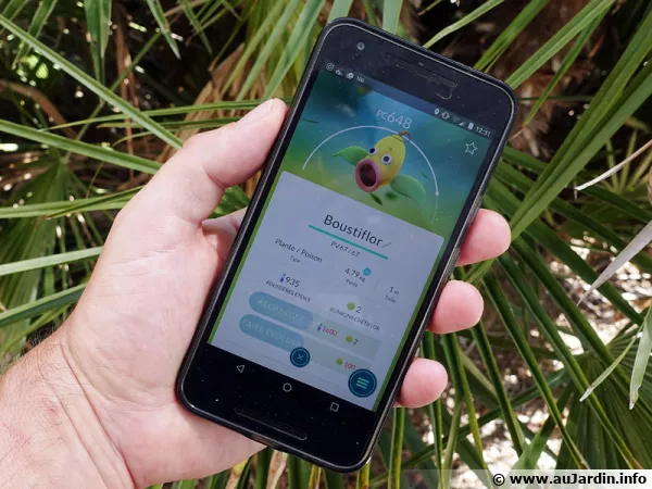 La chasse aux pokémons est ouverte, voici Boustiflor, une évolution de Chétiflor, un pokémon plante