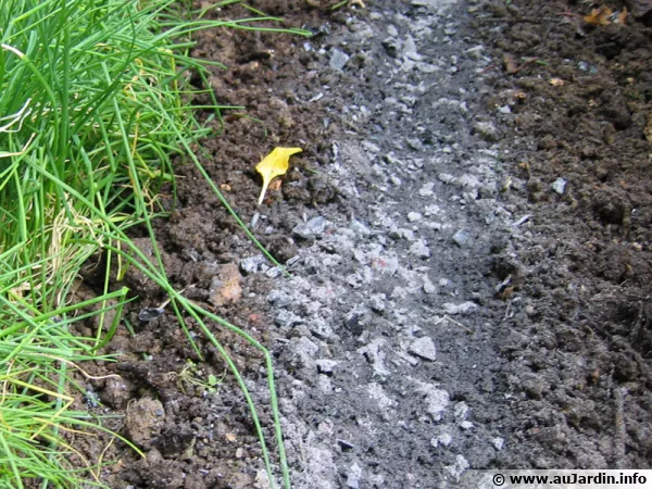 Des cendres de bois au potager mais sans abus