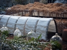 Que faire au potager en hiver ?